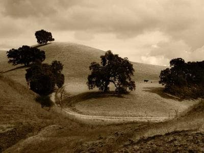 Vé Xem Phim CGV (2 vé)